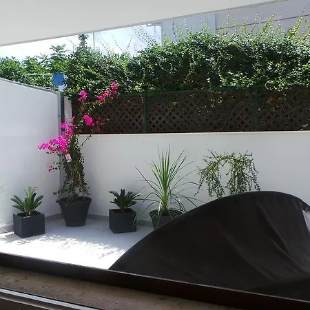 City Garden *