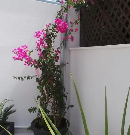 Appartement City Garden Split